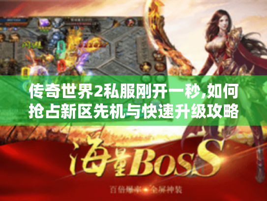 传奇世界2私服刚开一秒,如何抢占新区先机与快速升级攻略