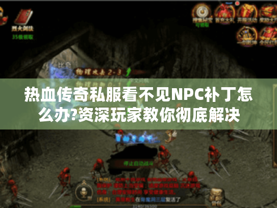 热血传奇私服看不见NPC补丁怎么办?资深玩家教你彻底解决