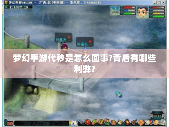 梦幻手游代秒是怎么回事?背后有哪些利弊?