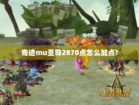 奇迹mu圣导2870点怎么加点? 奇迹mu圣导2870点怎么加点?
