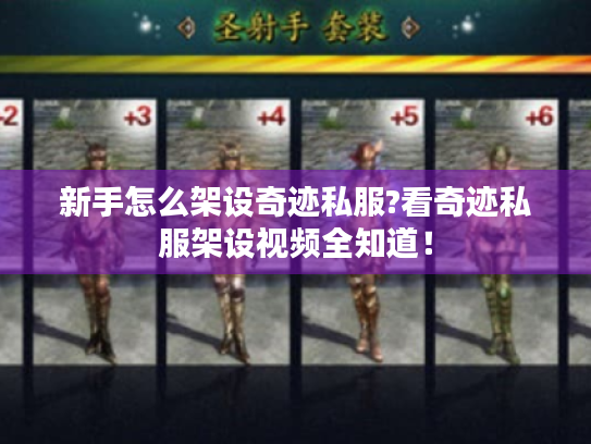 新手怎么架设奇迹私服?看奇迹私服架设视频全知道！