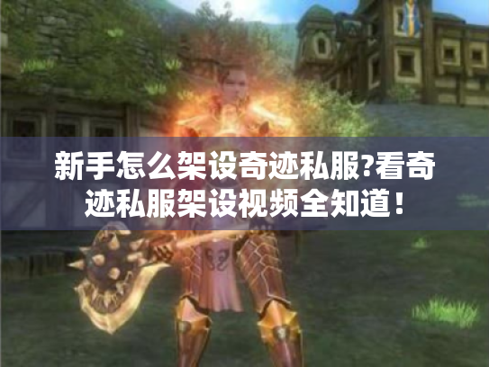 新手怎么架设奇迹私服?看奇迹私服架设视频全知道！