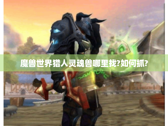 魔兽世界猎人灵魂兽哪里找?如何抓?