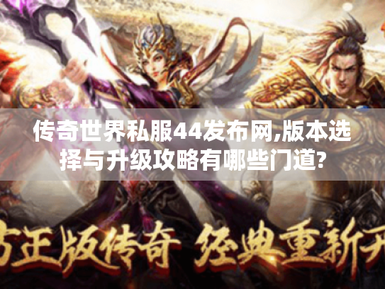 传奇世界私服44发布网,版本选择与升级攻略有哪些门道?