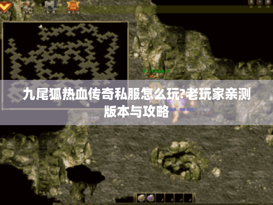 九尾狐热血传奇私服怎么玩?老玩家亲测版本与攻略 九尾狐热血传奇私服怎么玩?老玩家亲测版本与攻略