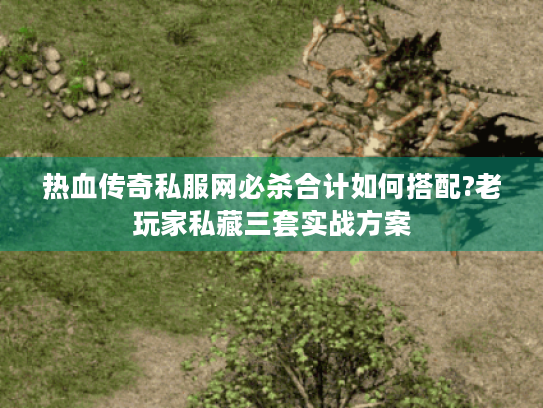 热血传奇私服网必杀合计如何搭配?老玩家私藏三套实战方案