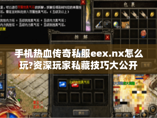 手机热血传奇私服eex.nx怎么玩?资深玩家私藏技巧大公开 手机热血传奇私服eex.nx怎么玩?资深玩家私藏技巧大公开