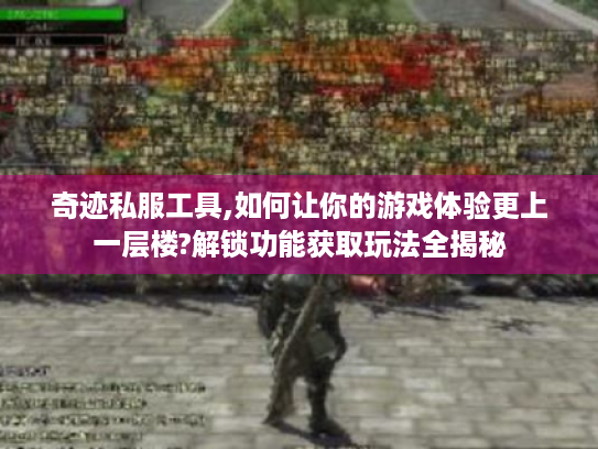 奇迹私服工具,如何让你的游戏体验更上一层楼?解锁功能获取玩法全揭秘