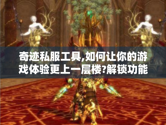奇迹私服工具,如何让你的游戏体验更上一层楼?解锁功能获取玩法全揭秘