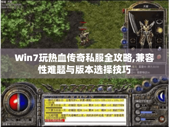 Win7玩热血传奇私服全攻略,兼容性难题与版本选择技巧