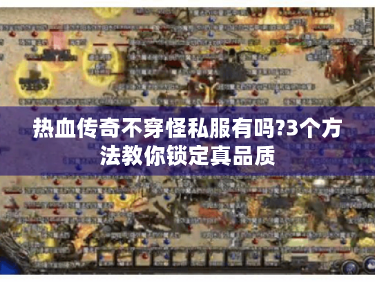 热血传奇不穿怪私服有吗?3个方法教你锁定真品质