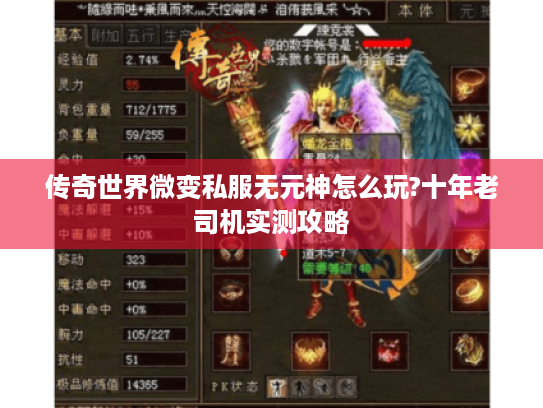 传奇世界微变私服无元神怎么玩?十年老司机实测攻略