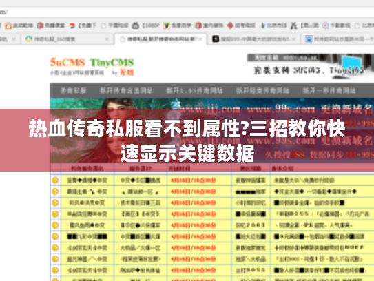 热血传奇私服看不到属性?三招教你快速显示关键数据 热血传奇私服看不到属性?三招教你快速显示关键数据