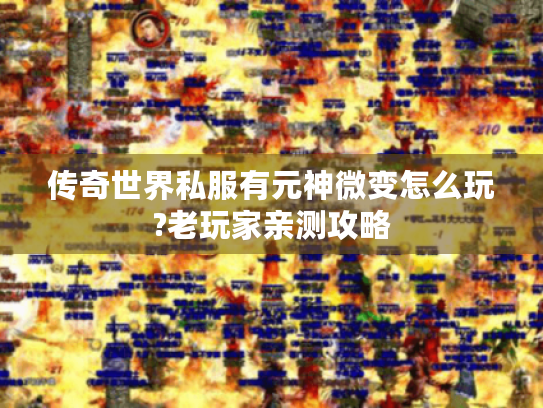 传奇世界私服有元神微变怎么玩?老玩家亲测攻略