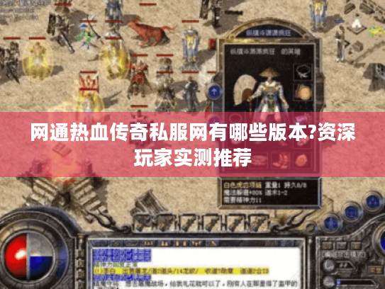 网通热血传奇私服网有哪些版本?资深玩家实测推荐