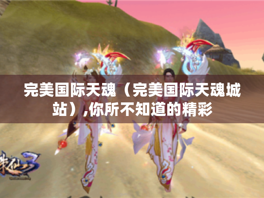 完美国际天魂（完美国际天魂城站）,你所不知道的精彩