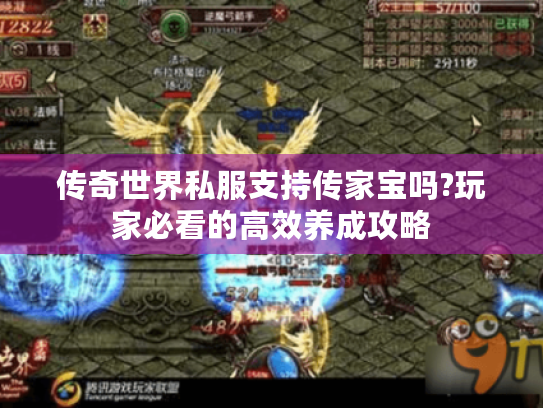 传奇世界私服支持传家宝吗?玩家必看的高效养成攻略