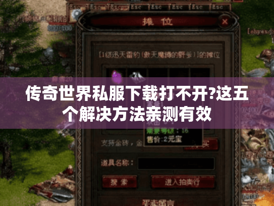 传奇世界私服下载打不开?这五个解决方法亲测有效
