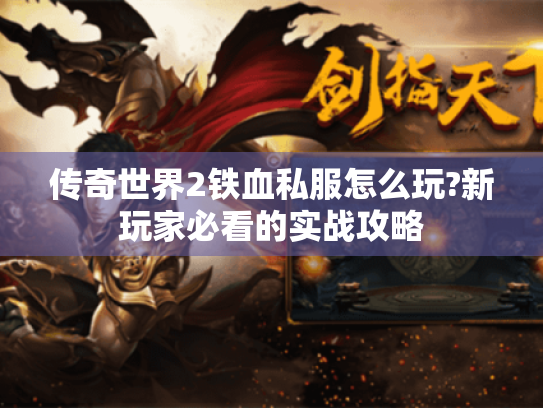 传奇世界2铁血私服怎么玩?新玩家必看的实战攻略