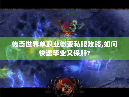 传奇世界单职业微变私服攻略,如何快速毕业又保肝?