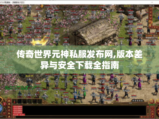 传奇世界元神私服发布网,版本差异与安全下载全指南
