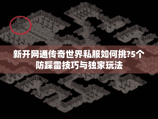 新开网通传奇世界私服如何挑?5个防踩雷技巧与独家玩法