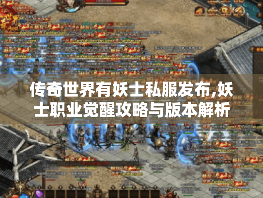 传奇世界有妖士私服发布,妖士职业觉醒攻略与版本解析