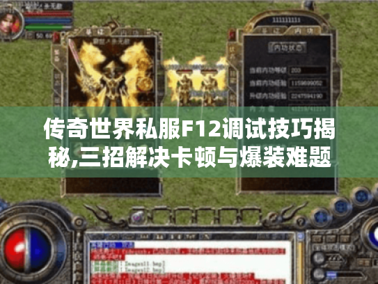 传奇世界私服F12调试技巧揭秘,三招解决卡顿与爆装难题