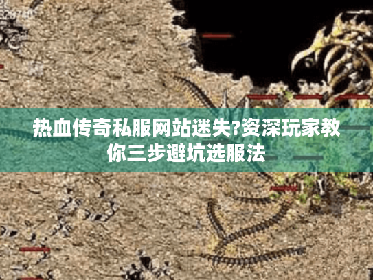 热血传奇私服网站迷失?资深玩家教你三步避坑选服法 热血传奇私服网站迷失?资深玩家教你三步避坑选服法