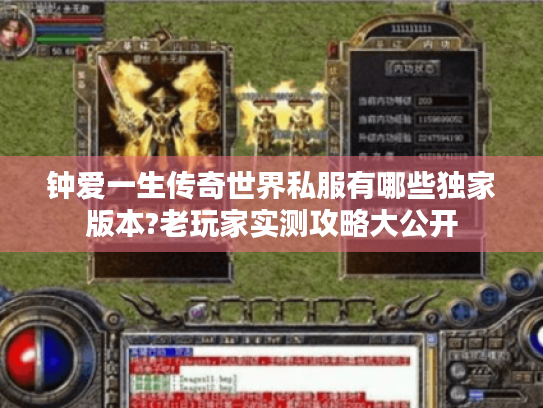 钟爱一生传奇世界私服有哪些独家版本?老玩家实测攻略大公开
