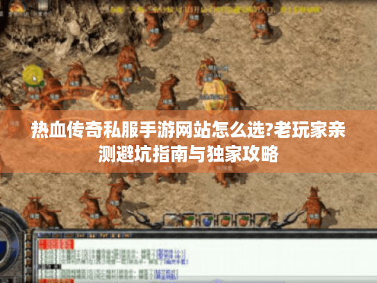 热血传奇私服手游网站怎么选?老玩家亲测避坑指南与独家攻略 热血传奇私服手游网站怎么选?老玩家亲测避坑指南与独家攻略
