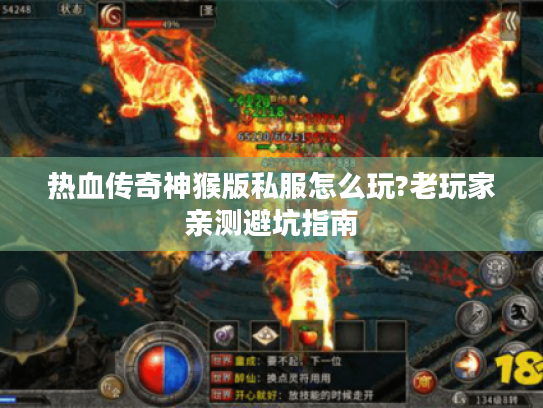 热血传奇神猴版私服怎么玩?老玩家亲测避坑指南 热血传奇神猴版私服怎么玩?老玩家亲测避坑指南