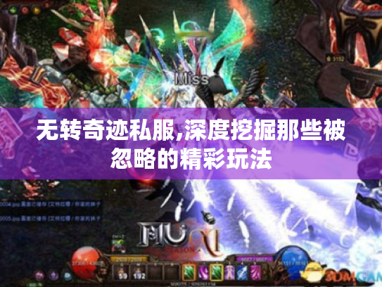 无转奇迹私服,深度挖掘那些被忽略的精彩玩法