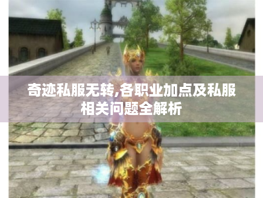 奇迹私服无转,各职业加点及私服相关问题全解析