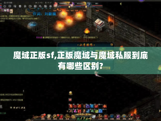 魔域正版sf,正版魔域与魔域私服到底有哪些区别?