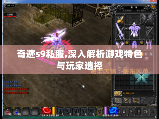 奇迹s9私服,深入解析游戏特色与玩家选择