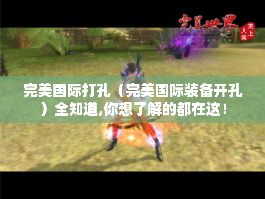 完美国际打孔（完美国际装备开孔）全知道,你想了解的都在这！