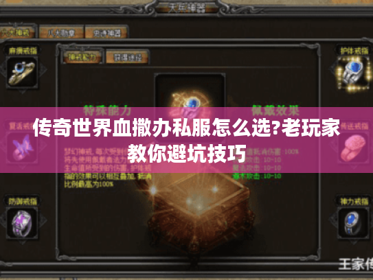 传奇世界血撒办私服怎么选?老玩家教你避坑技巧