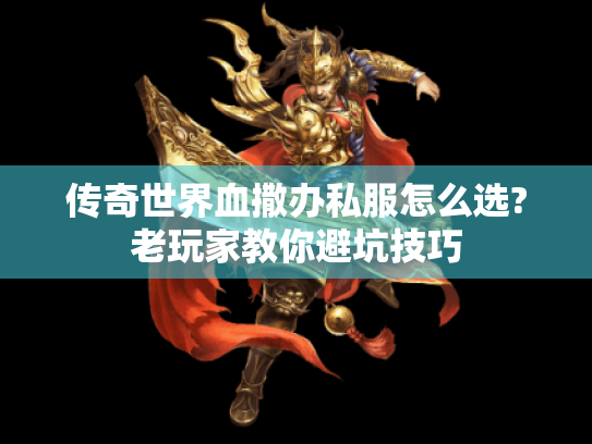 传奇世界血撒办私服怎么选?老玩家教你避坑技巧