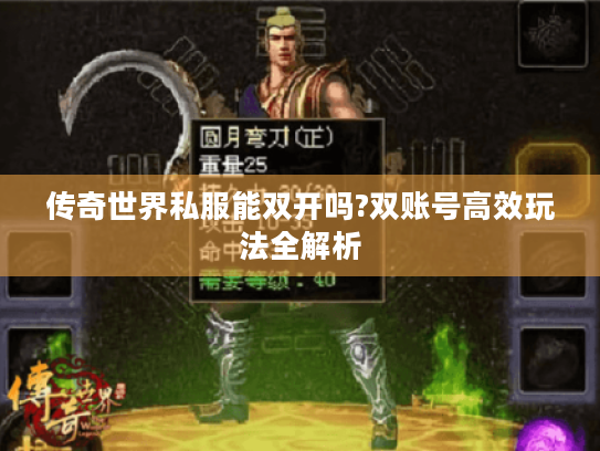 传奇世界私服能双开吗?双账号高效玩法全解析 传奇世界私服能双开吗?双账号高效玩法全解析