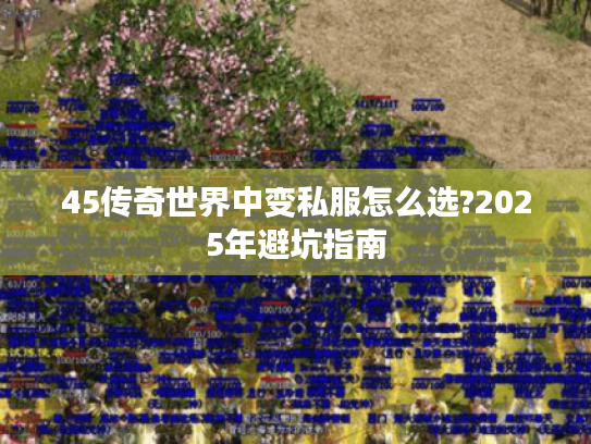 45传奇世界中变私服怎么选?2025年避坑指南