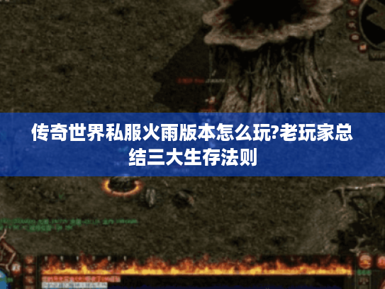 传奇世界私服火雨版本怎么玩?老玩家总结三大生存法则 传奇世界私服火雨版本怎么玩?老玩家总结三大生存法则