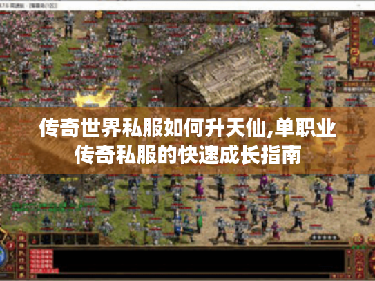 传奇世界私服如何升天仙,单职业传奇私服的快速成长指南 传奇世界私服如何升天仙,单职业传奇私服的快速成长指南