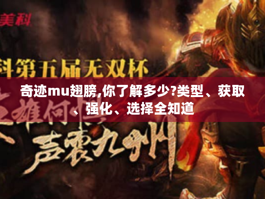 奇迹mu翅膀,你了解多少?类型、获取、强化、选择全知道 奇迹mu翅膀,你了解多少?类型、获取、强化、选择全知道