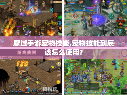 魔域手游宠物技能,宠物技能到底该怎么使用?