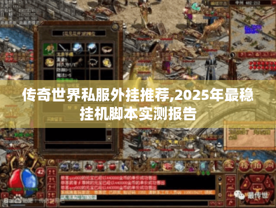 传奇世界私服外挂推荐,2025年最稳挂机脚本实测报告 传奇世界私服外挂推荐,2025年最稳挂机脚本实测报告