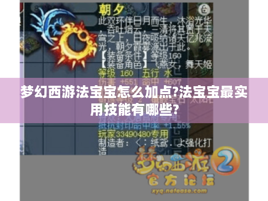 梦幻西游法宝宝怎么加点?法宝宝最实用技能有哪些? 梦幻西游法宝宝怎么加点?法宝宝最实用技能有哪些?