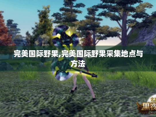 完美国际野果,完美国际野果采集地点与方法 完美国际野果,完美国际野果采集地点与方法