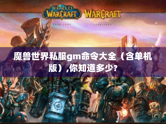魔兽世界私服gm命令大全（含单机版）,你知道多少?