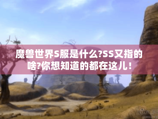魔兽世界S服是什么?SS又指的啥?你想知道的都在这儿！